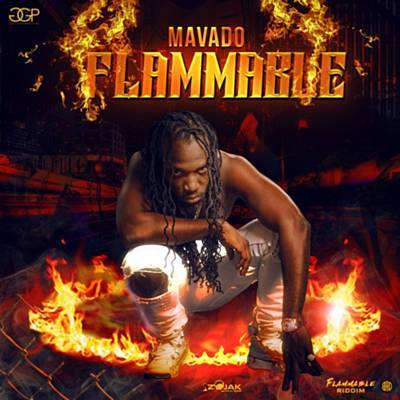 Flammable Ringtone Download Free