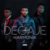 Harmonik - Incroyable Ringtone Download Free MP3