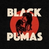 Black Pumas - Colors Ringtone Download Free MP3