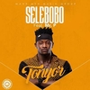 Selebobo Feat. PSquare - Tonyor Ringtone Download Free MP3