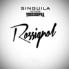 Singuila Feat. Youssoupha - Rossignol Ringtone Download Free MP3