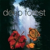 Deep Forest - Marta's Song Ringtone Download Free MP3