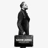 Gavin James - Faces Ringtone Download Free MP3