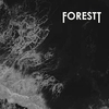 A Forest - To The Sea (Radio Version) Ringtone Download Free MP3