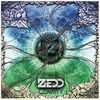 Zedd - Clarity Ringtone Download Free MP3