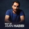 Amin Habibi - Ghahr Ringtone Download Free MP3