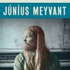 Júníus Meyvant - Cherries Underground Ringtone Download Free MP3