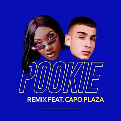 Pookie (Remix) Ringtone Download Free