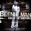 Beenie Man - Dude Ringtone Download Free MP3