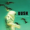 Bush - The Chemicals Between Us Ringtone Download Free MP3