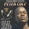 Peter Cole - Stay Alive Ringtone Download Free MP3