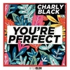 Charly Black - You're Perfect Ringtone Download Free MP3