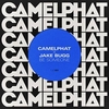 CamelPhat & Jake Bugg - Be Someone Ringtone Download Free MP3