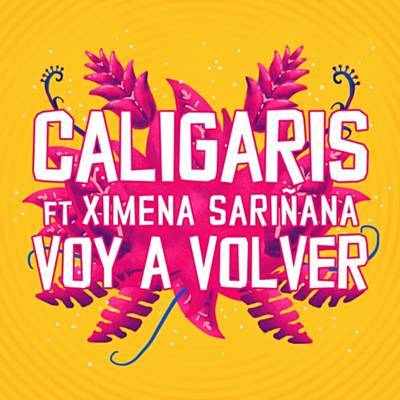 Voy A Volver Ringtone Download Free