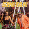 Zlatan & Tiwa Savage - Shotan Ringtone Download Free MP3