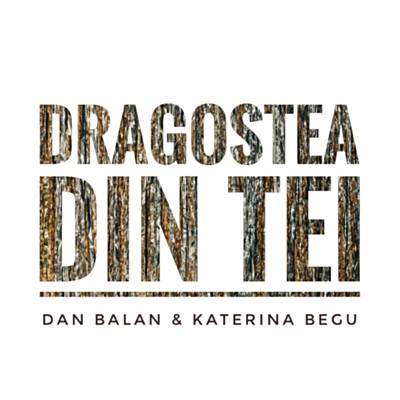 Dragostea Din Tei Ringtone Download Free