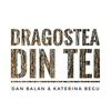 Dan Balan & Katerina Begu - Dragostea Din Tei Ringtone Download Free MP3