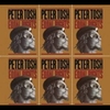 Peter Tosh - Get Up Stand Up Ringtone Download Free MP3